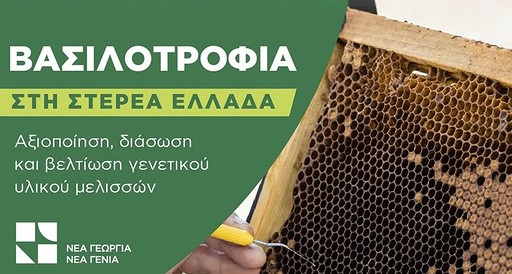 Ξεκινά η β’ φάση του Προγράμματος «Βασιλοτροφία στη Στερεά Ελλάδα